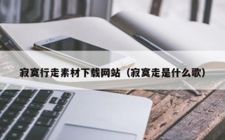 南充寂寞行走素材下载网站（寂寞走是什么歌）